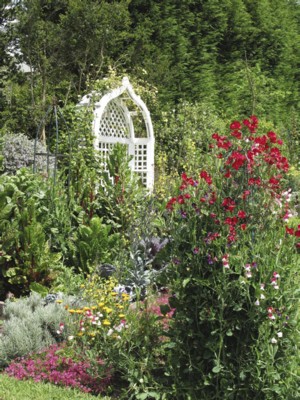 Garden Designs