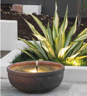 Garden Ideas Qld gardening ideas queensland: garden design landscaping designs Garden Ideas Qld gardening ideas queensland: garden design landscaping designs
