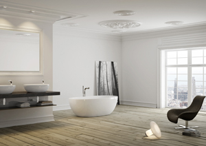 IntTrendsBathroom2