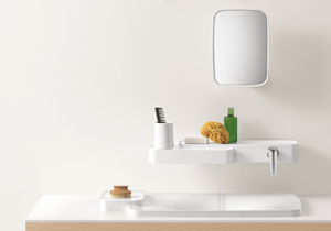 IntTrendsBathroom6