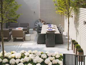 International interior 6