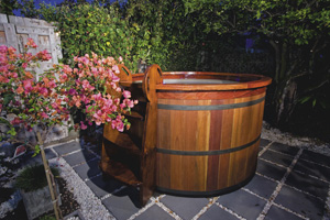 Designer Pools - Barrel of Fun - Completehome