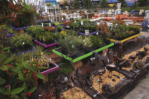City Garden and Aquarium 1.5